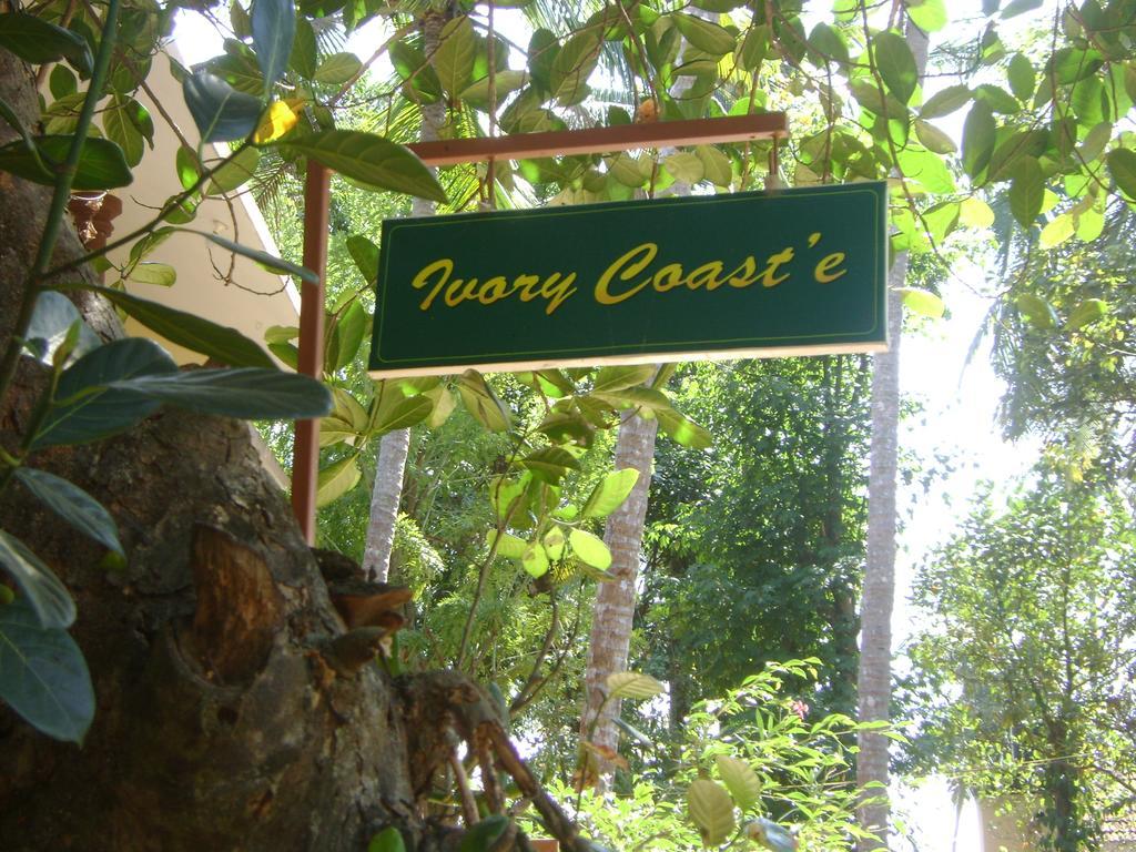 ホテル Ivory Coaste カンヌール エクステリア 写真